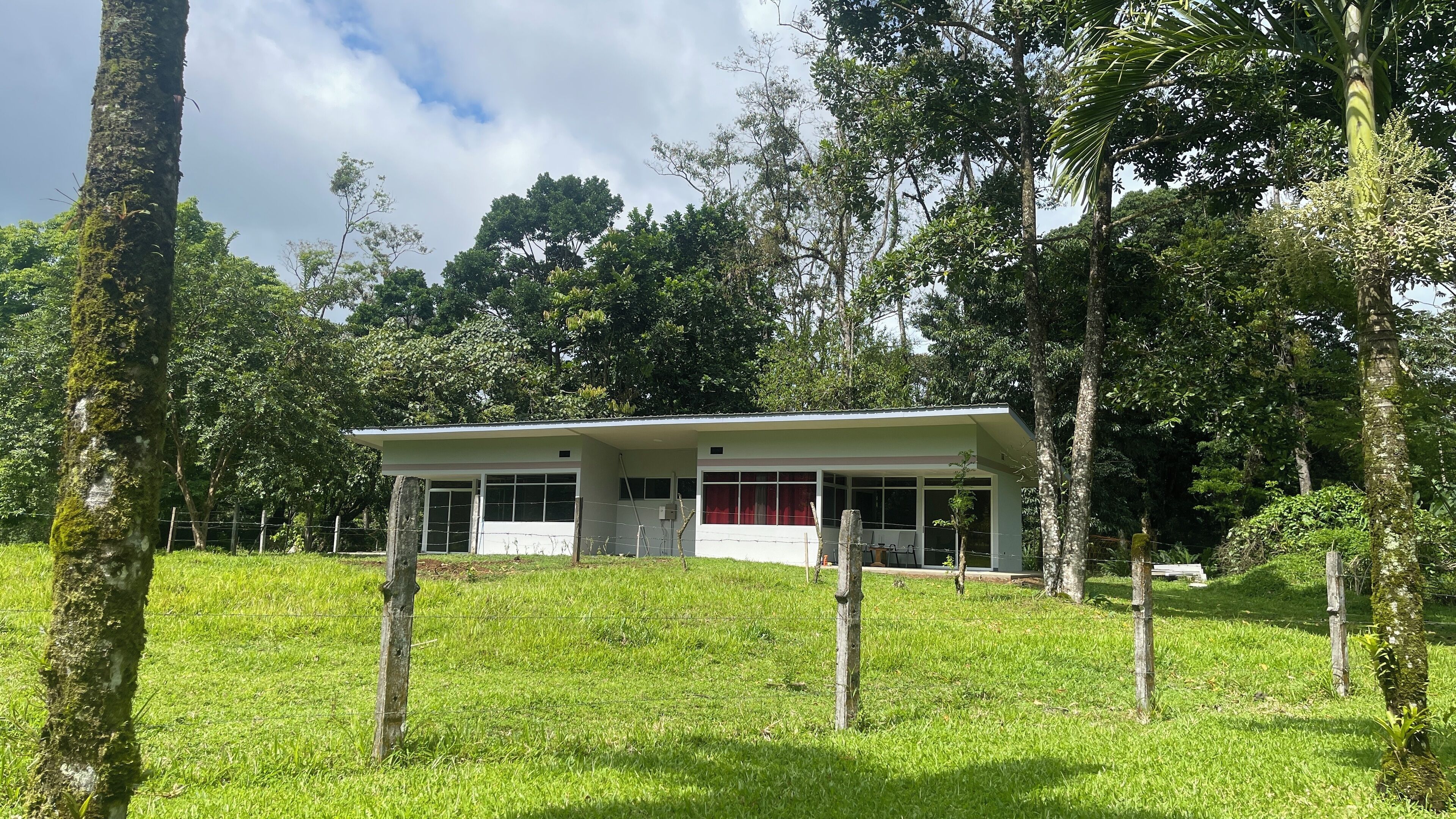Un petit bâtiment d’un seul étage, doté d’un toit plat, entouré d’une végétation luxuriante et de grands arbres.