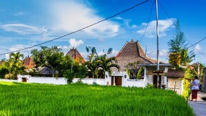 Un pueblo tradicional indonesio con un extenso campo de arroz en primer plano, un edificio blanco con techo de paja y un letrero que dice "Pondok Taman".