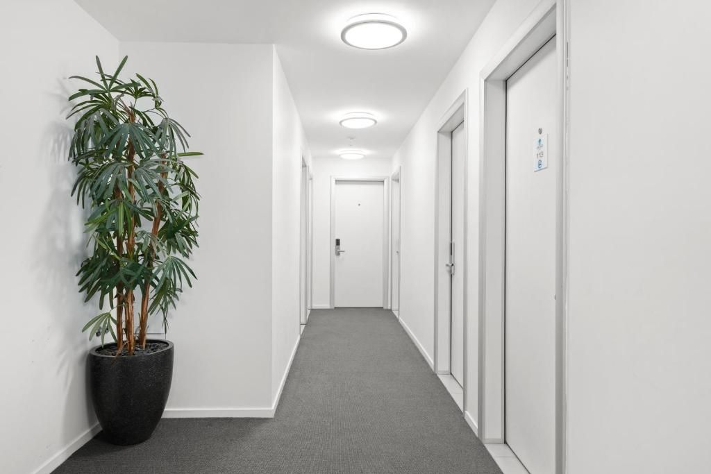 A corridor with a potted plant, white walls, and doors.