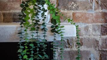 A hanging plant with green leaves against a brick wall.