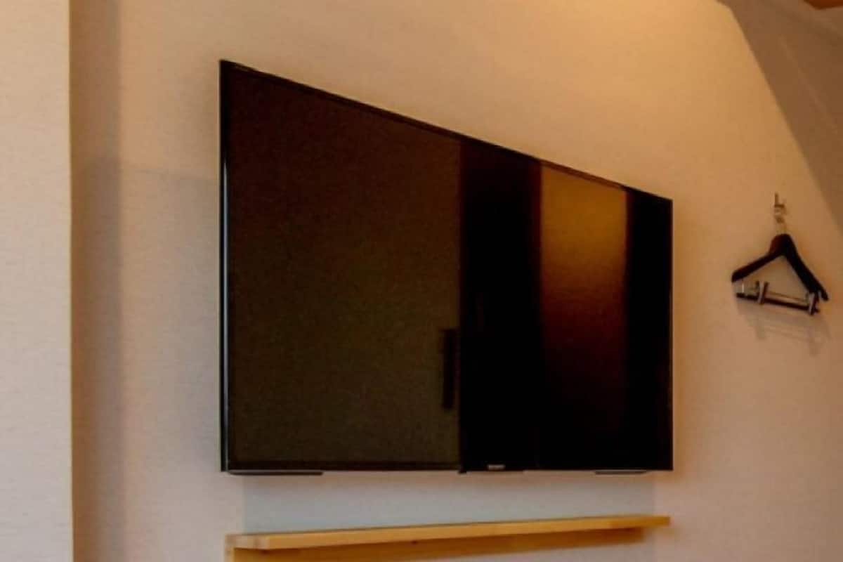 Television