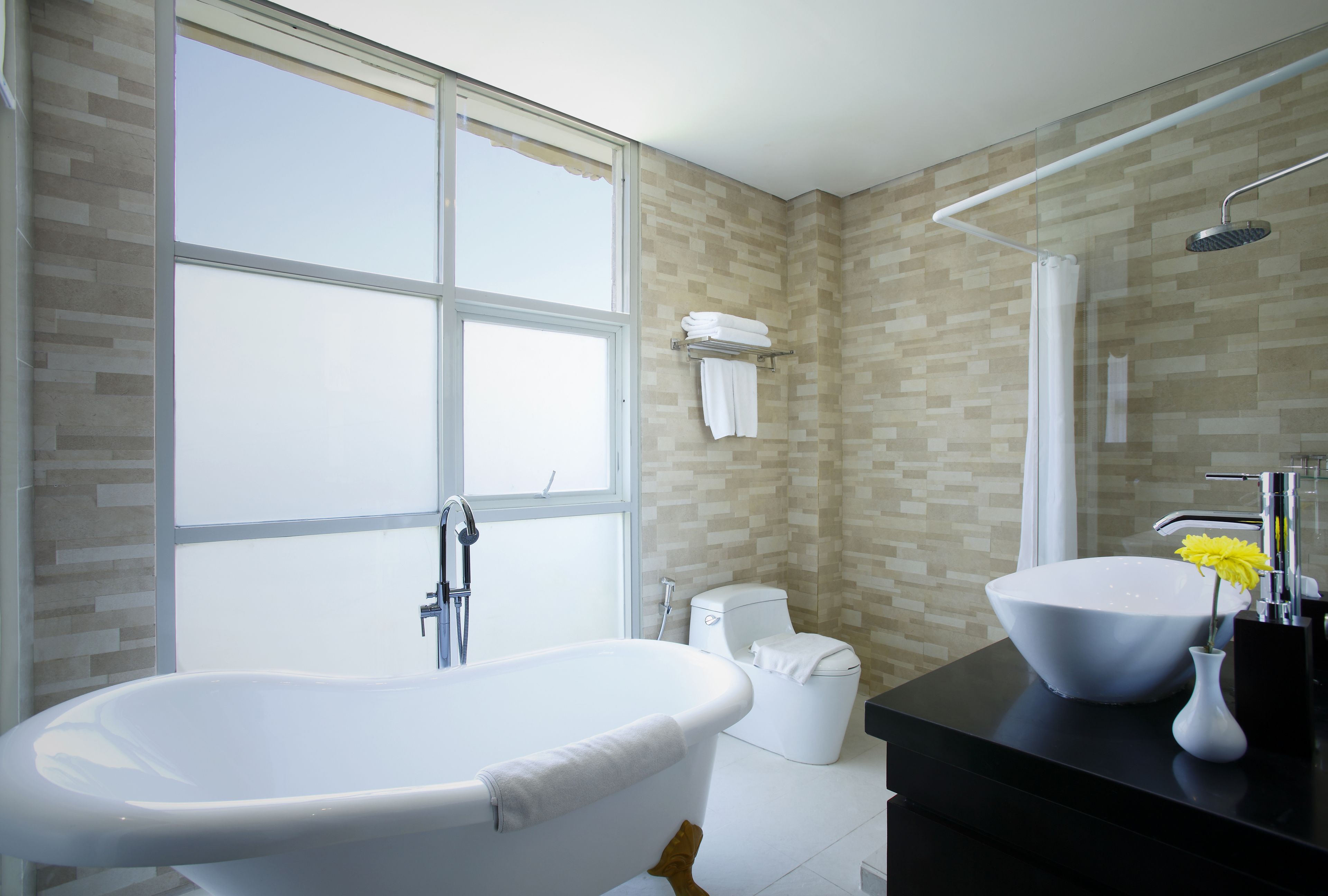 hair dryer, towels, soap, shampoo