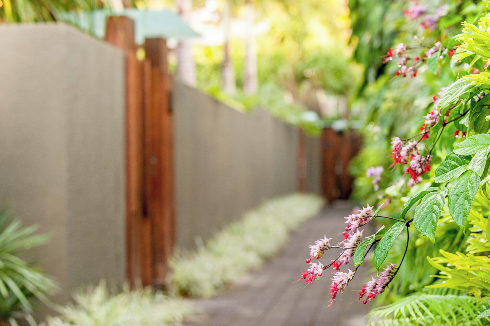 A pathway lined with a wooden fence and lush greenery, leading to a building.