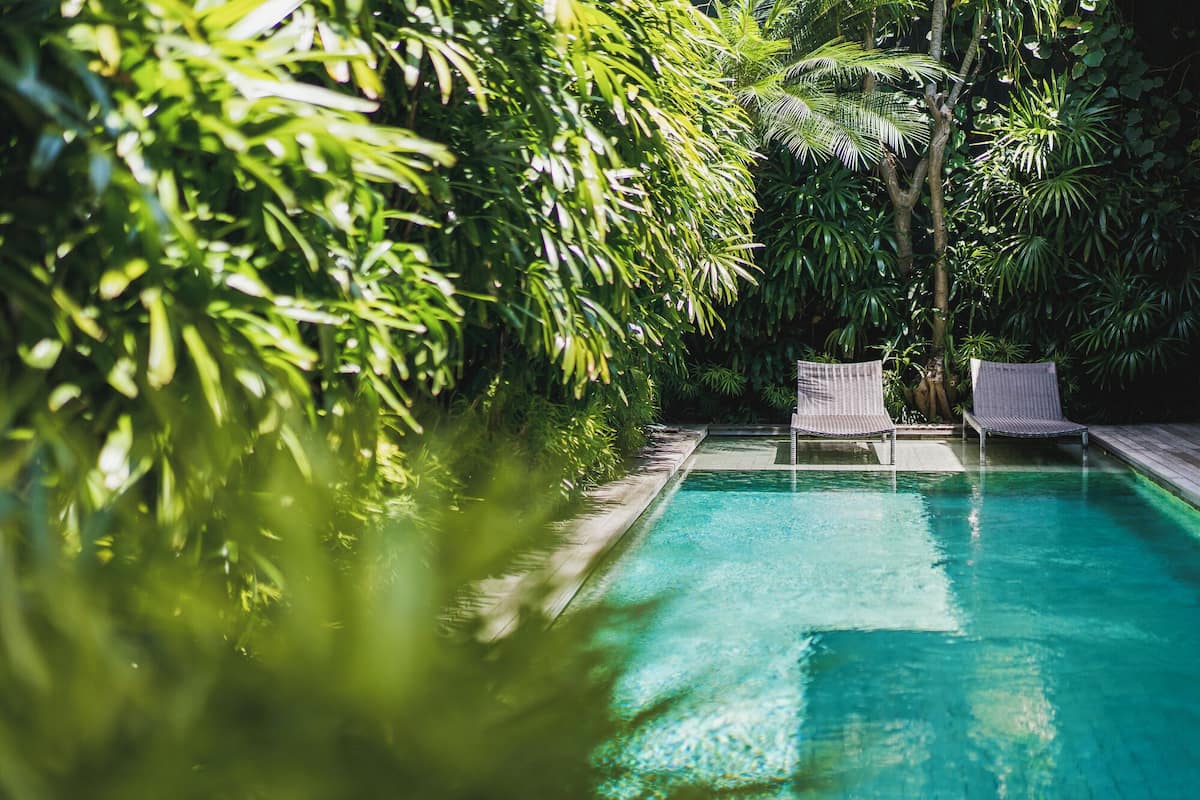 A swimming pool surrounded by lush greenery, with two wicker lounge chairs.