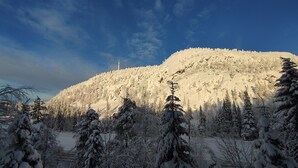 A snowy mountain landscape with evergreen trees.