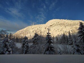 A snowy mountain landscape with evergreen trees.