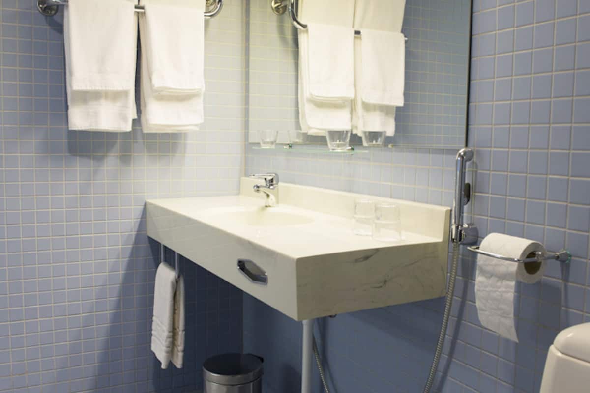 shower, free toiletries, bidet, towels