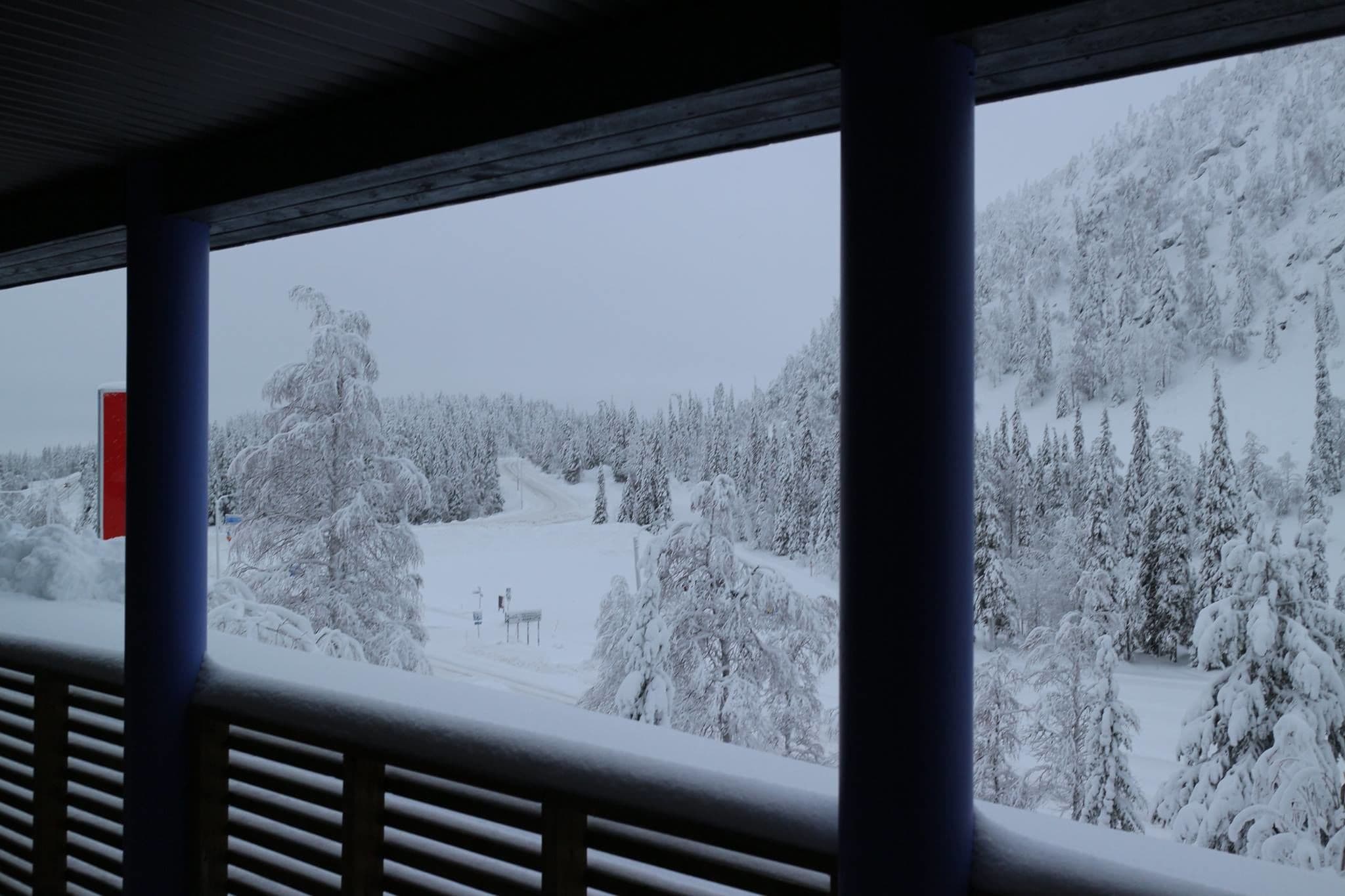 superior room | view from room