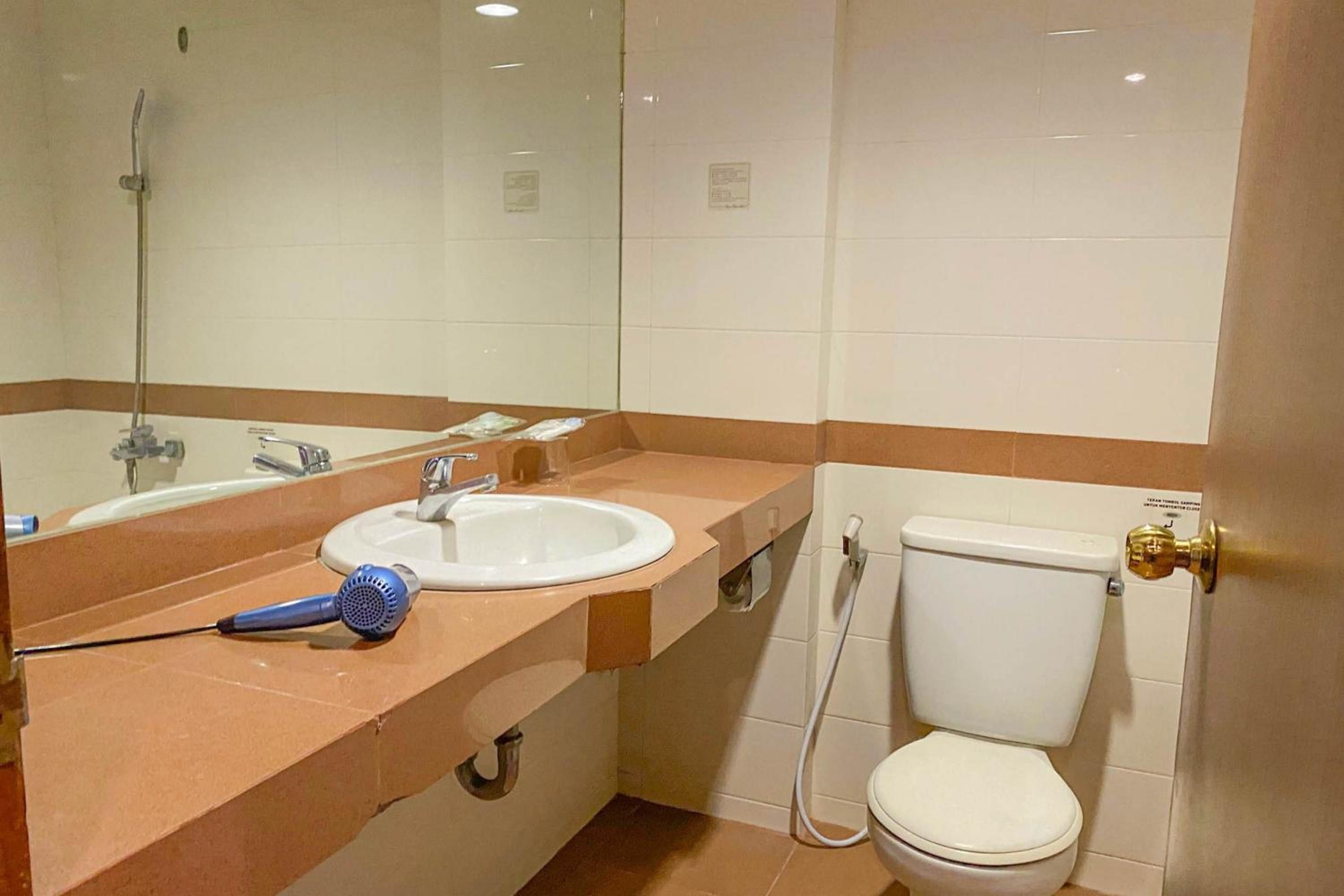 A bathroom with a sink, mirror, and toilet.