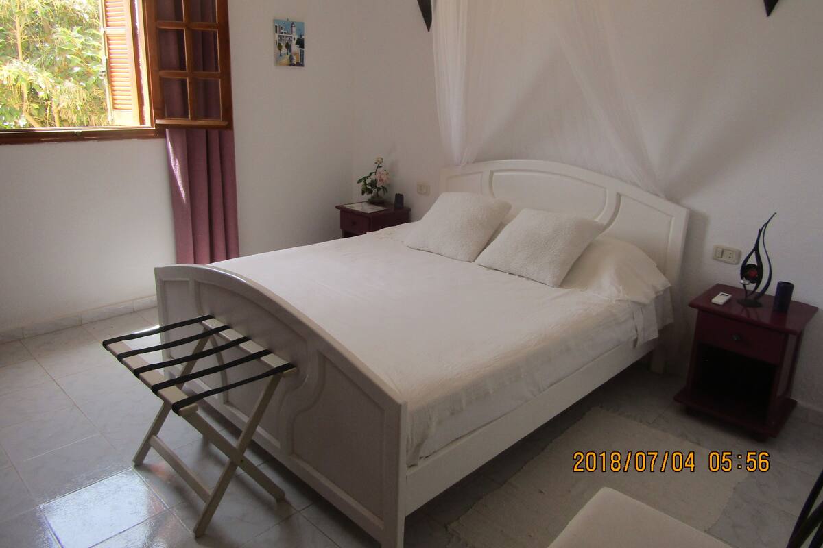 Une chambre à coucher comprenant un lit, une table de chevet, une lampe, une fenêtre avec des rideaux et une petite table sur laquelle est posé un vase.