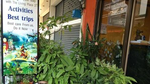 A garden area with potted plants and a poster advertising activities and trips. - The Living Place 2 - Hostel (Chiang Mai)