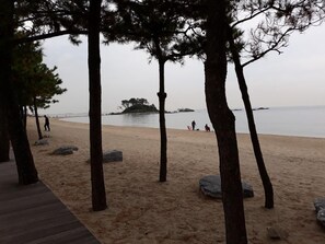 A beach with a wooden walkway, trees, and a calm sea. - Residence Hotel Blue Ocean View (Ulsan)