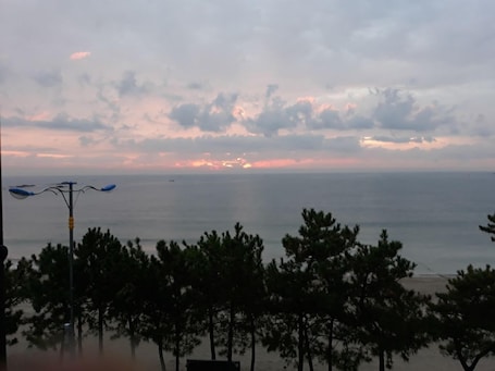 Vista desde la propiedad