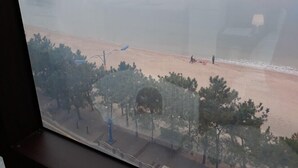 Una playa con algunas personas, árboles y una isla distante.
