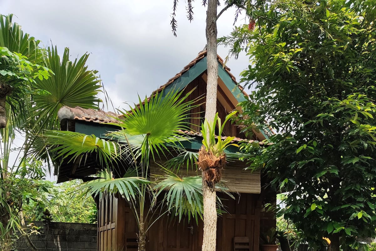 A rustic wooden house with a tiled roof, surrounded by lush greenery including palm trees and various shrubs.