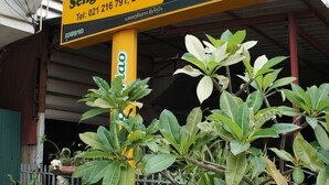 Une enseigne d’hôtel avec une publicité pour une bière, entourée de plantes en pot.