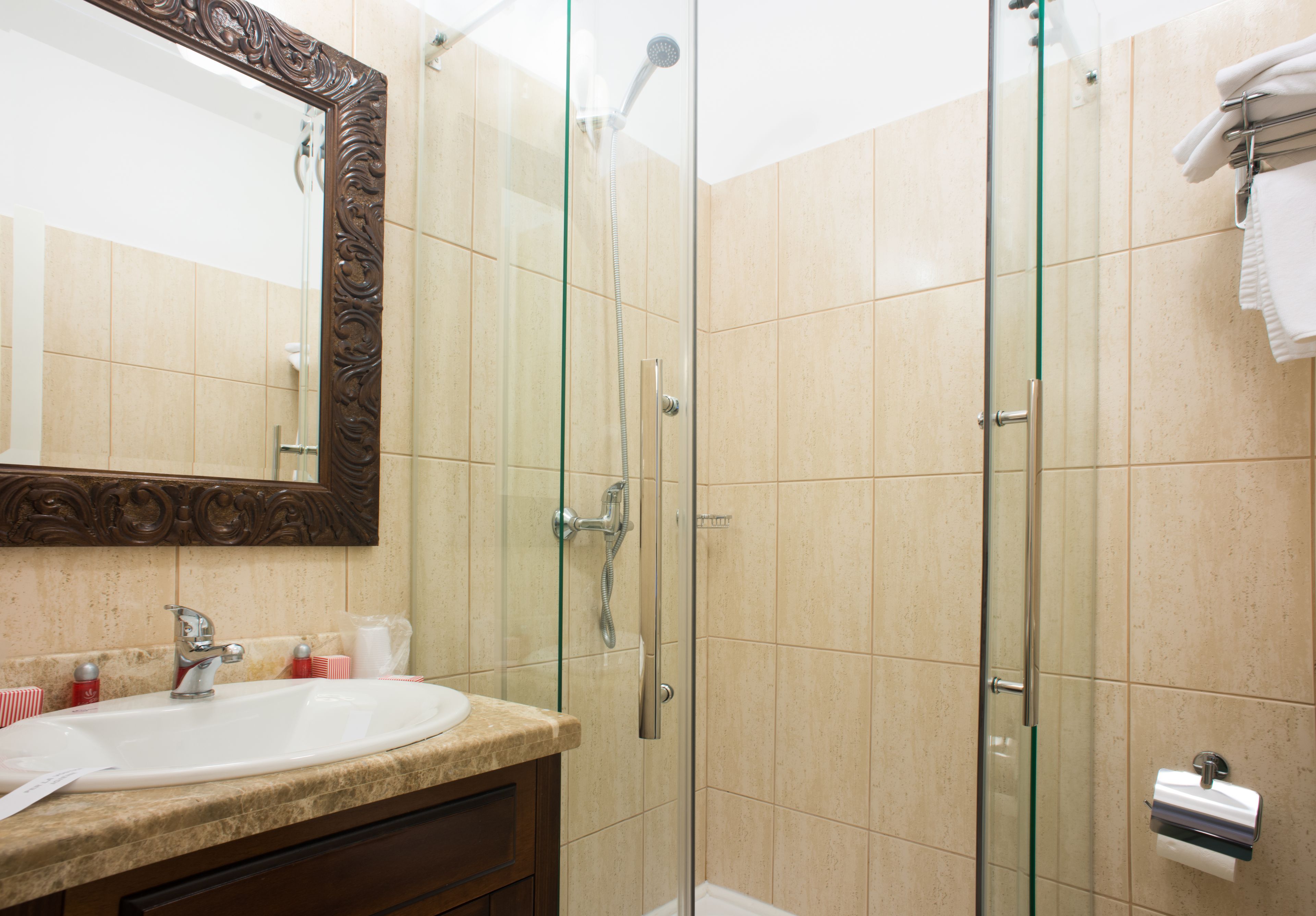 Standard Double Room | Bathroom | Shower, free toiletries, hair dryer, bathrobes