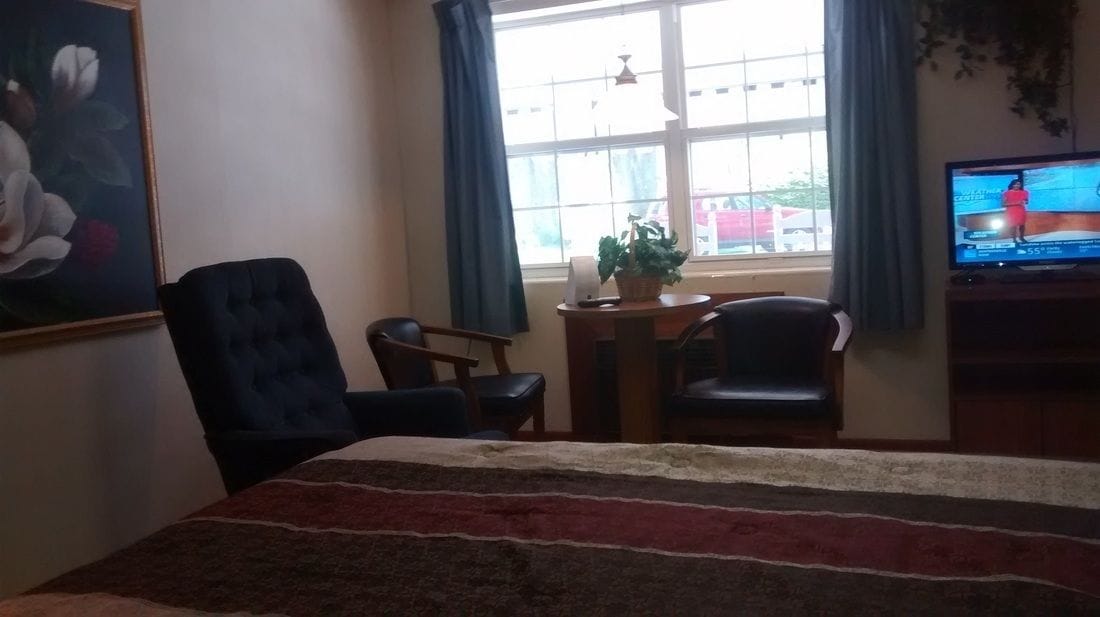 Habitación de hotel con cama, dos sillones, una mesita con una planta, televisor y ventana con cortinas.