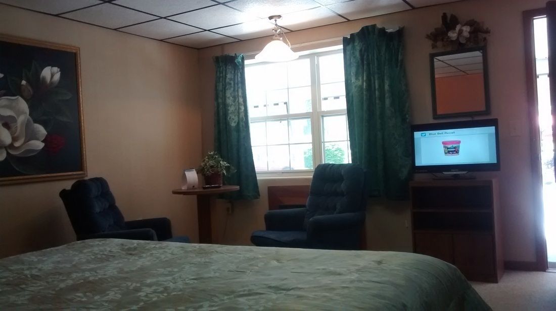 A hotel room with a bed, two armchairs, a small table with a plant, a television, and a window with curtains.