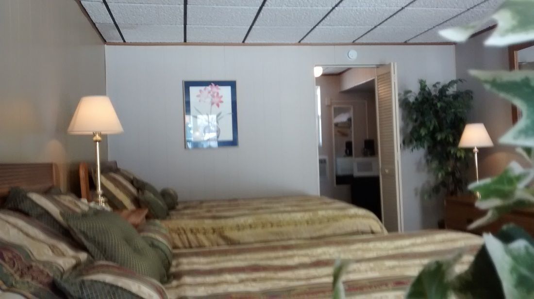 Un dormitorio con una cama, dos lámparas de noche, un cuadro enmarcado en la pared y una planta en maceta.