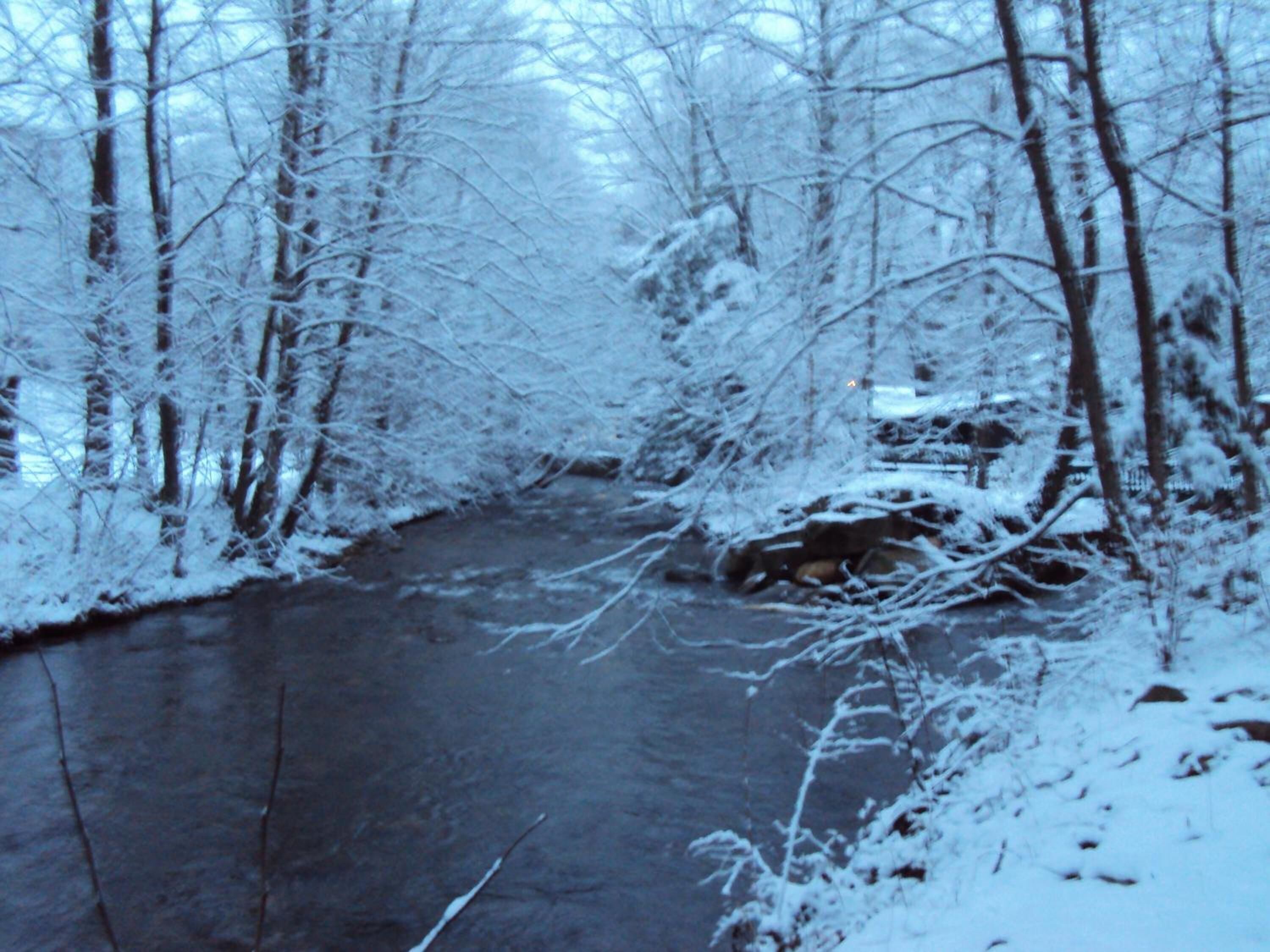 Ein mit Schnee bedeckter Fluss, der durch einen Wald fließt.