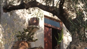 Een rustieke buitenruimte met een grote boom, een potplant en een rieten mand.