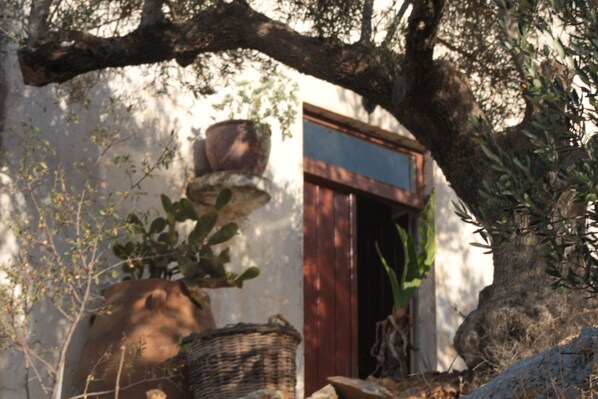 Un espacio al aire libre rústico con un árbol grande, una planta en maceta y una cesta de mimbre.
