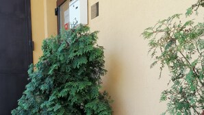 A potted plant with red flowers and a large potted tree against a building wall. - Hotel Arko (Prague)