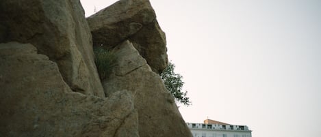 A bird perched on a rock formation with a building in the background.