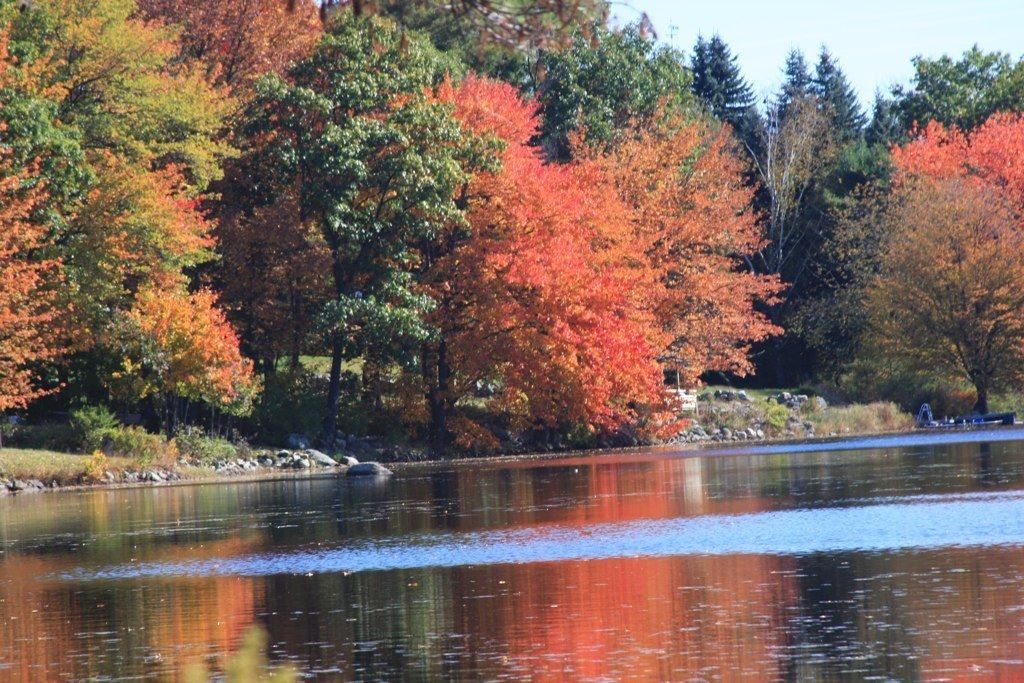 The Cottages at Harvey Lake in Manchester, United States