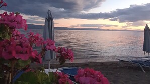 Vista de playa con cielo nublado, una palmera y flores rosadas en primer plano.