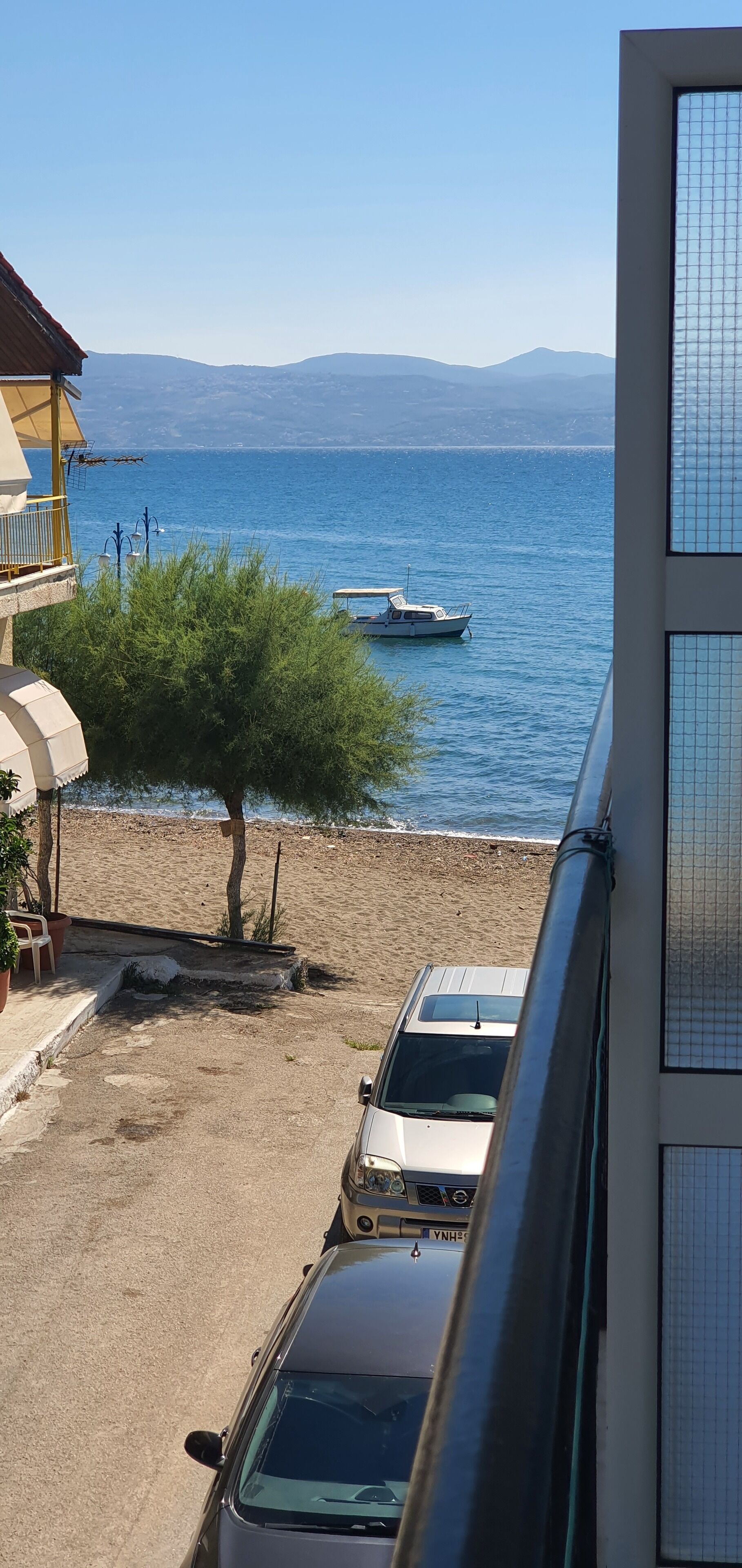 Une vue d’une plage avec un bateau sur l’eau, un arbre et des voitures garées.