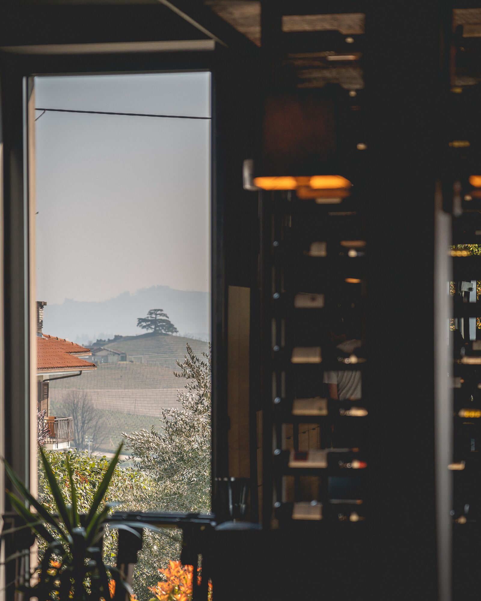 Blick durch ein Fenster, im Vordergrund ein Bücherregal und eine Pflanze, im Hintergrund eine Landschaft mit Gebäuden und Hügeln.