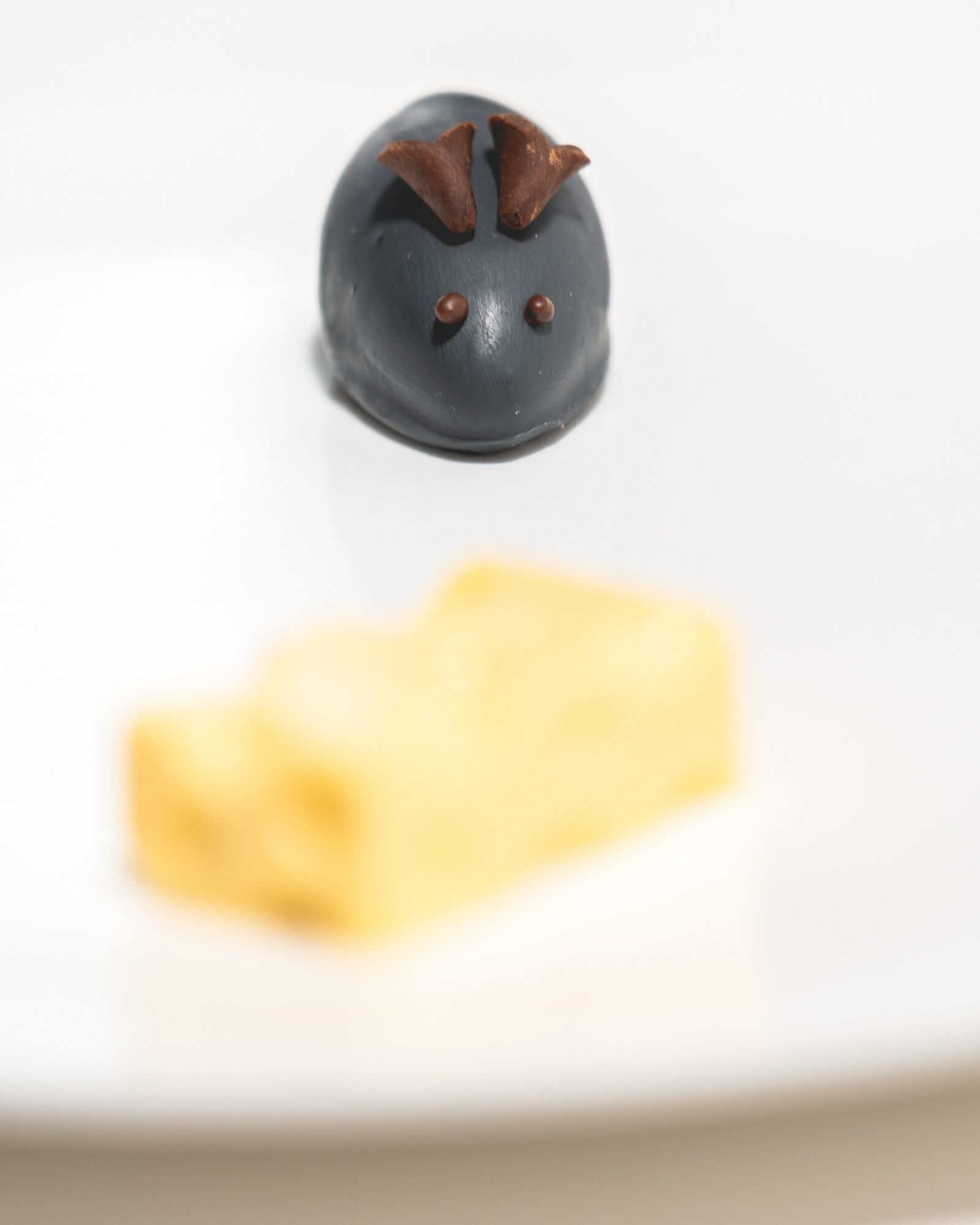 A dessert with a dark chocolate center and a light-colored base, possibly a cake or pastry, on a white plate.