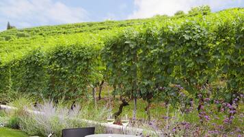 A grassy outdoor area with a round table and two chairs, surrounded by a lush vineyard and purple flowers.