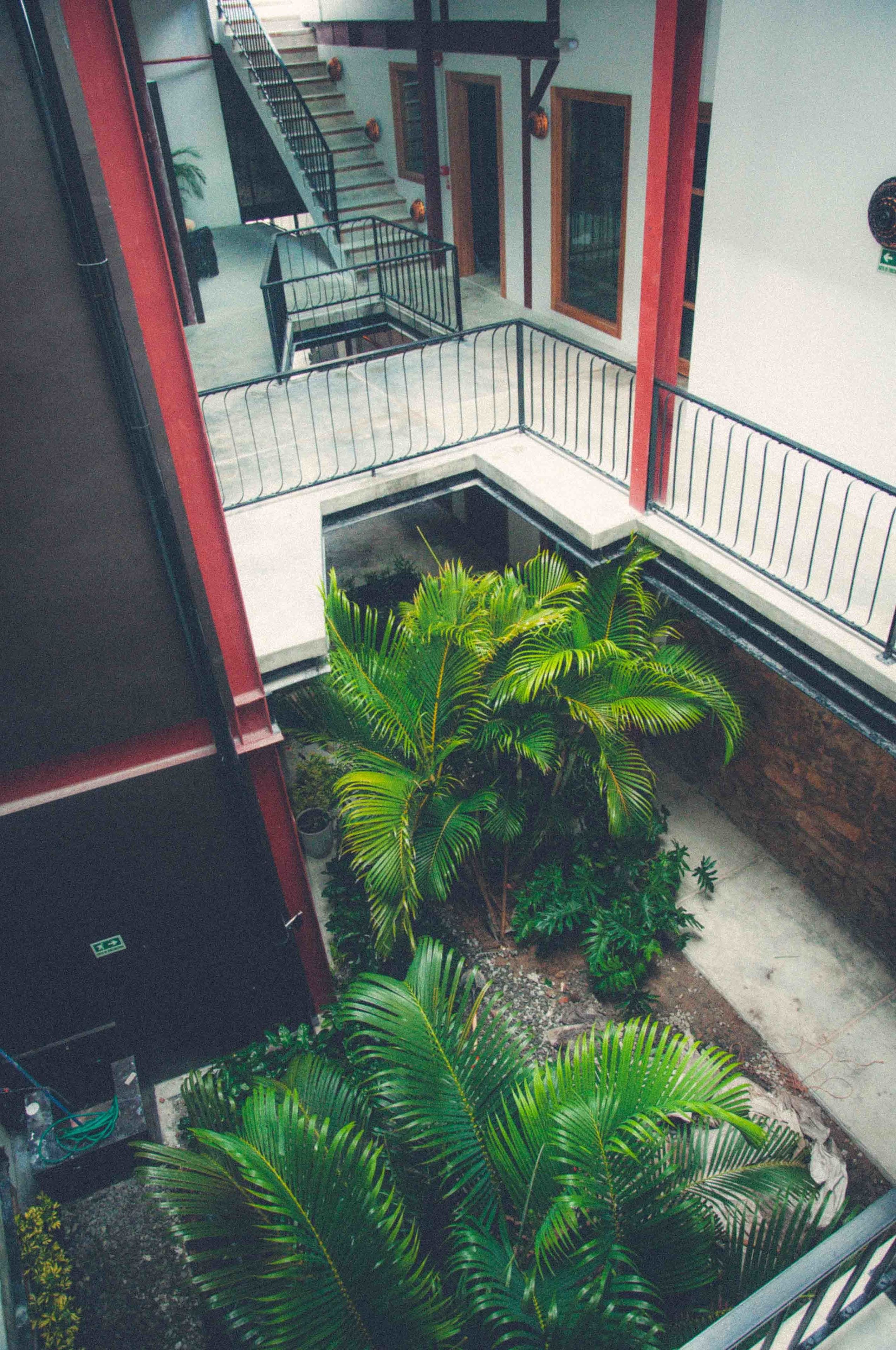 A multi-level building with a staircase, a small garden area with palm plants, and a red and white exterior.