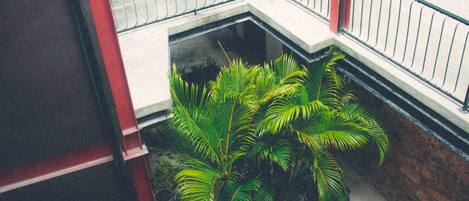 A multi-level building with a staircase, a small garden area with palm plants, and a red and white exterior.