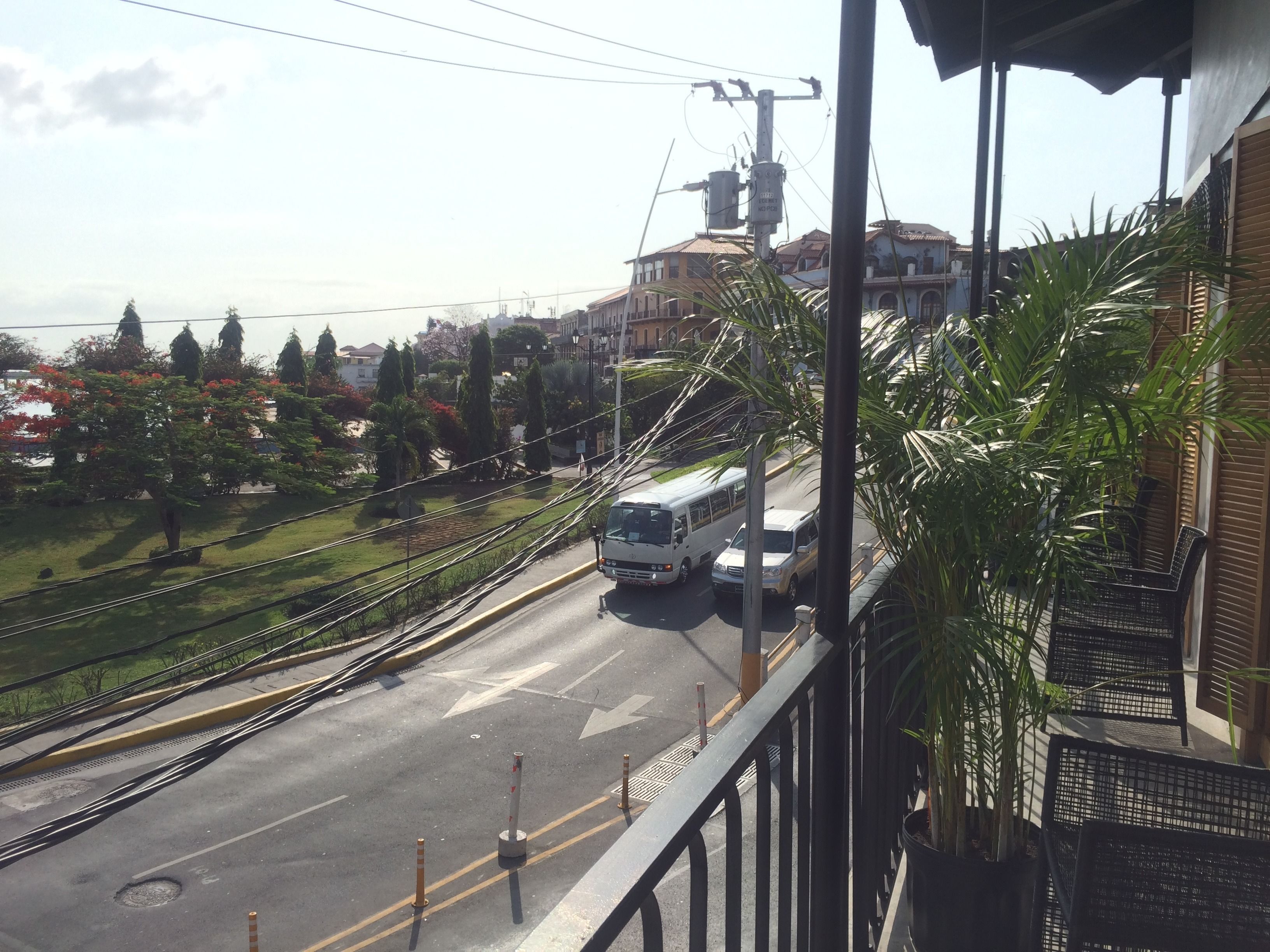 A street view with a white bus, a white car, and a pedestrian crossing. There are trees, a building with a red roof, and a utility pole with wires.