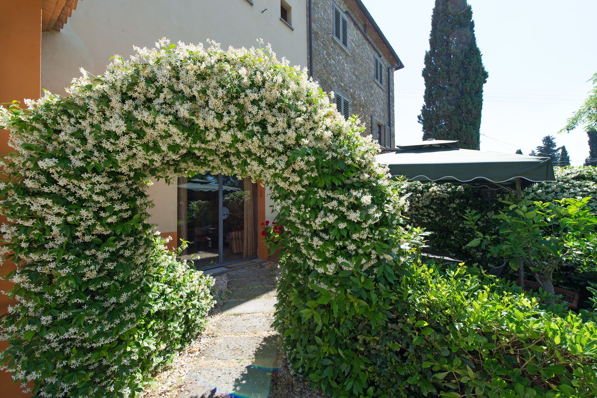 Un jardin agrémenté d’une arche couverte de fleurs blanches qui mène à l’entrée d’un bâtiment.