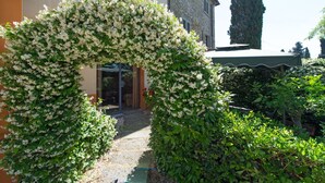 Jardí amb un arc floral blanc que condueix a l'entrada d'un edifici.