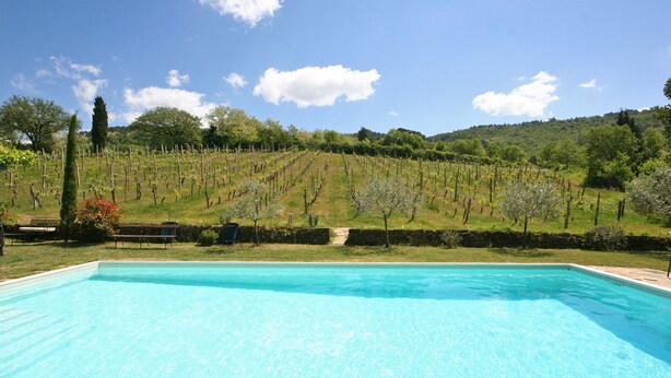 A swimming pool with a vineyard in the background. - Villa Lo Scoiattolo (Subbiano)