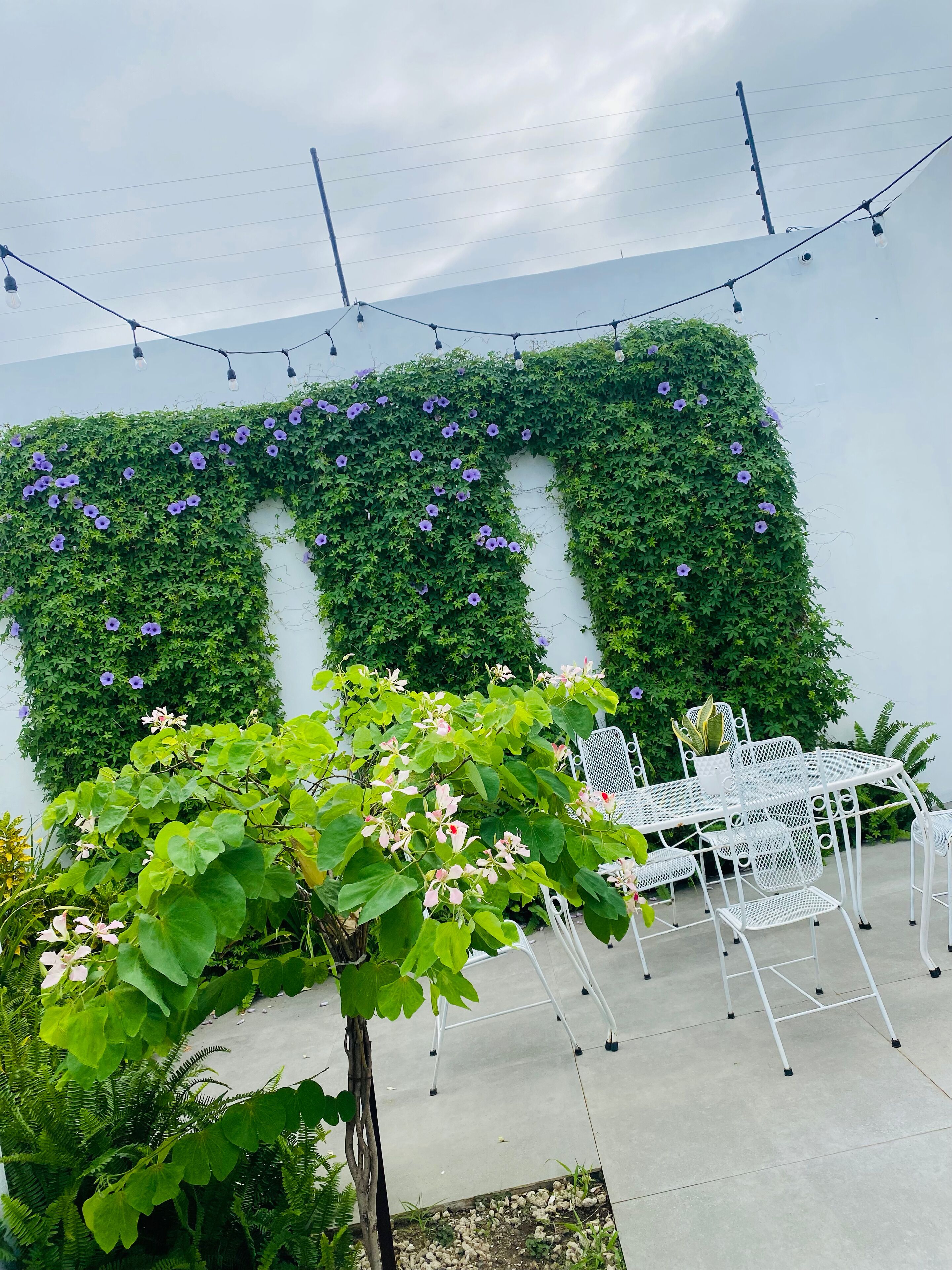 Foto - Casa San Juan 560