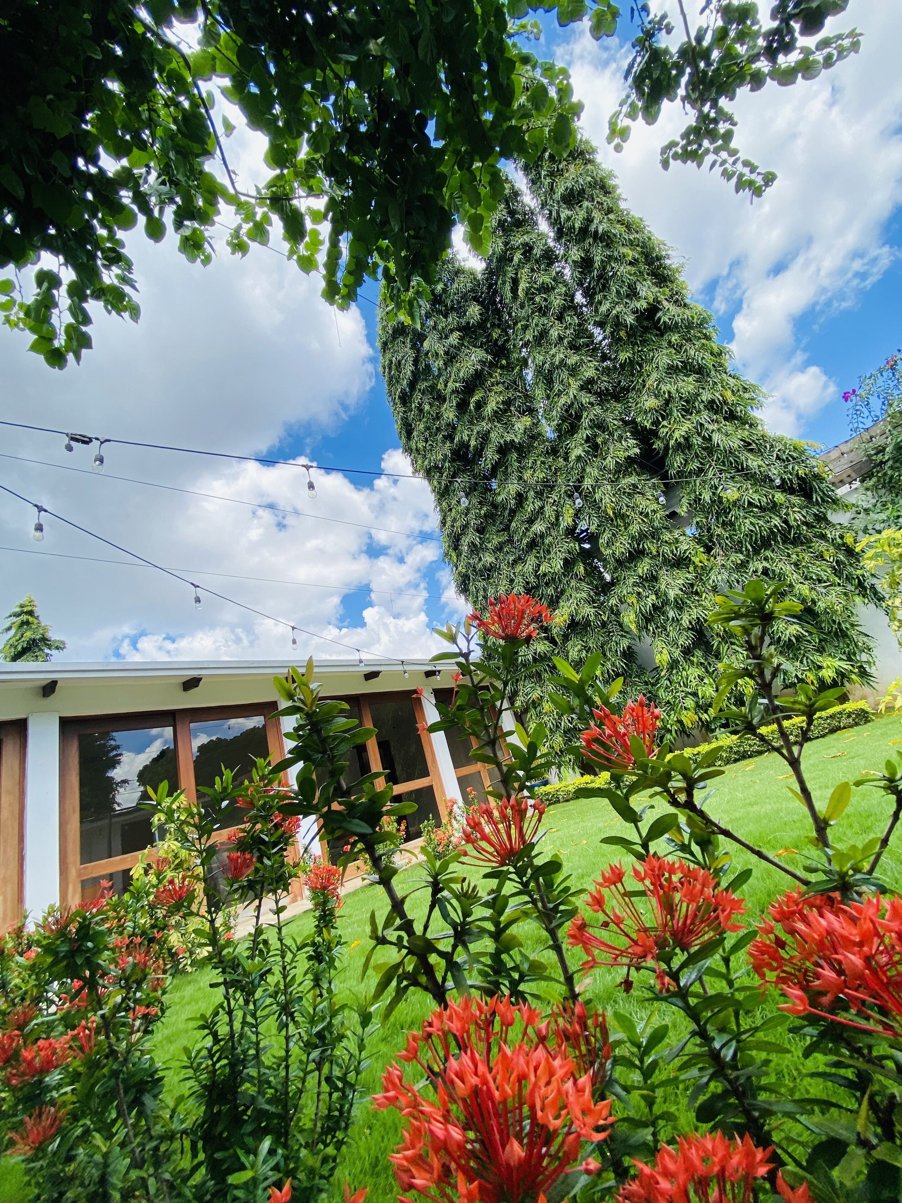 Foto - Casa San Juan 560