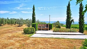 A patio area with a built-in barbecue grill, surrounded by olive trees and a clear sky. - Vittoriana (San Gimignano)
