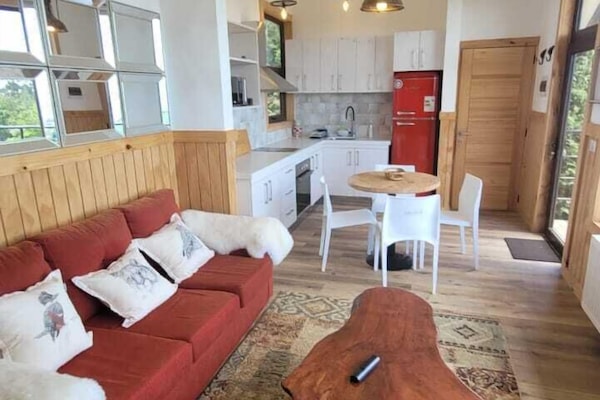 Deluxe Cabin, 2 Bedrooms, Lake View | Living area | Flat-screen TV