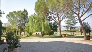 A garden with a gravel path, trees, and potted plants. - Villa Cassia (Pienza)