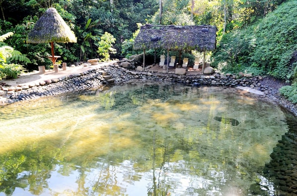 Kolam renang outdoor dan sebuah kolam alami