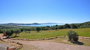 Vista panorámica de un paisaje costero con cielo despejado, olivos y una masa de agua distante.