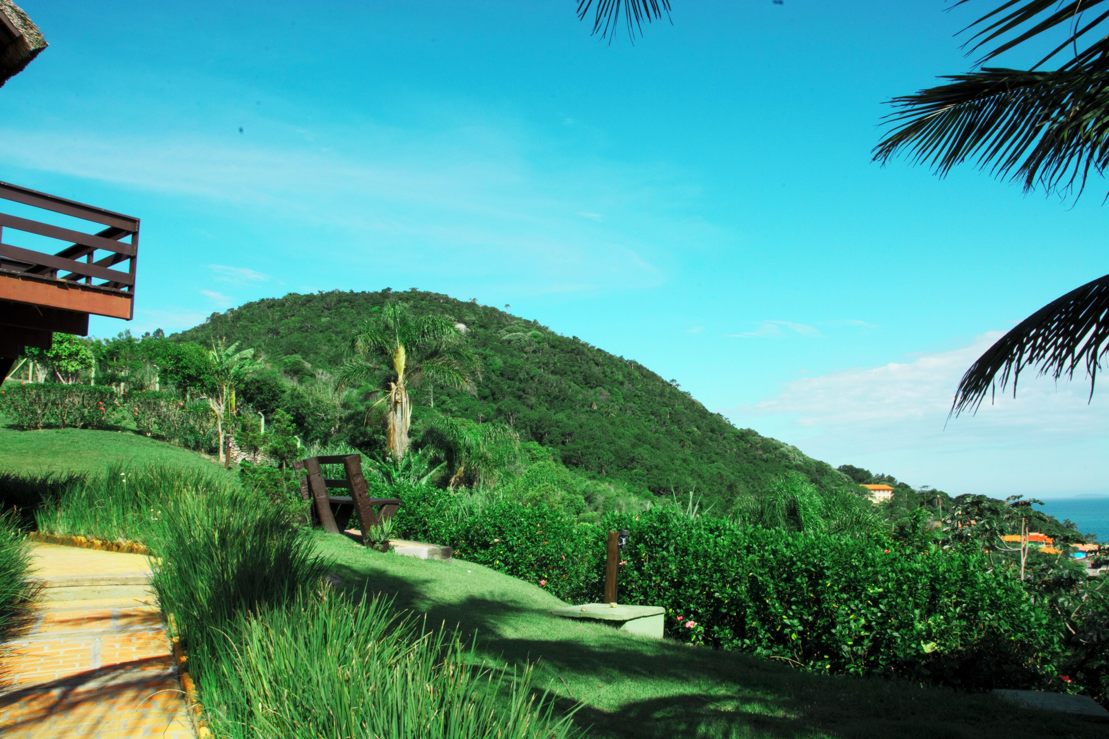 A lush green hillside with a wooden deck and a pathway leading up.