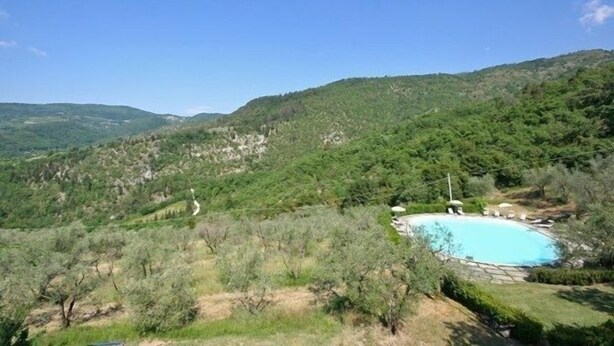 A swimming pool surrounded by lush greenery and hills.